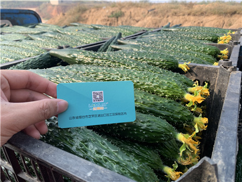 水溶肥，拉姆拉，伯示麥