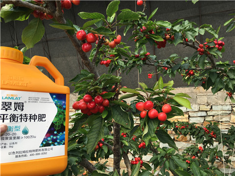 水溶肥，拉姆拉，翠姆