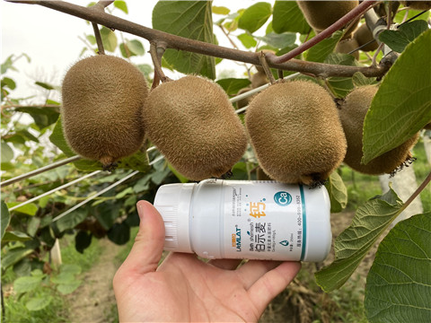 有機肥,無機肥 有機肥,無機肥