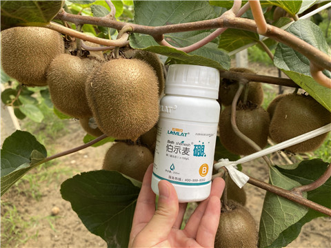 有機肥,無機肥 有機肥,無機肥