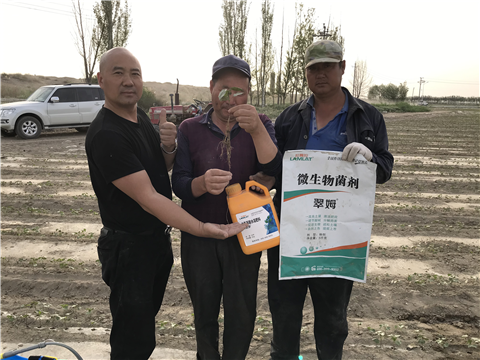 水溶肥，拉姆拉，翠姆