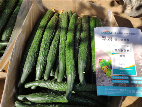 微生物菌劑，拉姆拉，翠姆