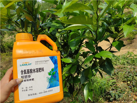 沖施肥，拉姆拉，翠姆