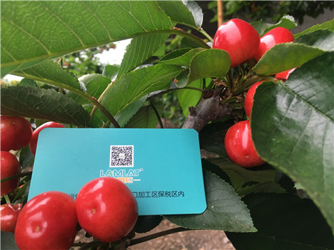 大量元素水溶肥，拉姆拉，翠姆