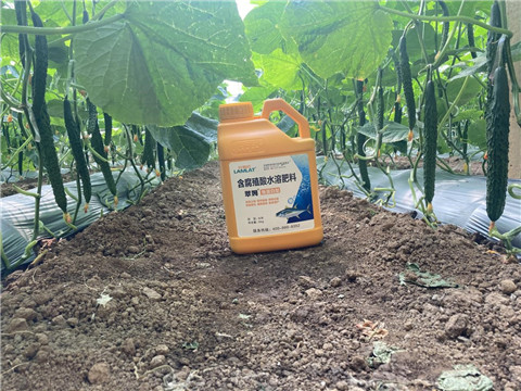 作物施肥管理，拉姆拉，翠姆