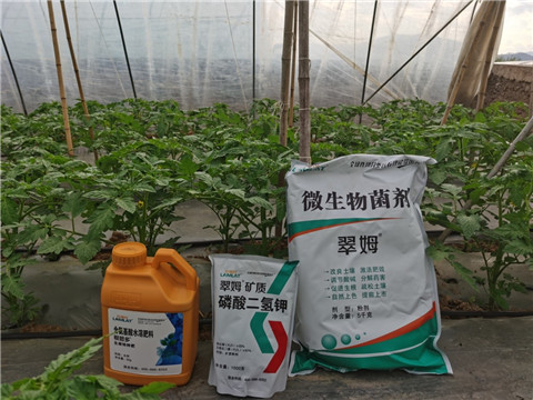 水溶肥，拉姆拉，翠姆