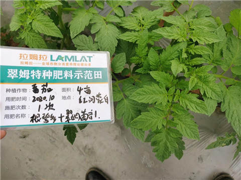 水溶肥，拉姆拉，翠姆