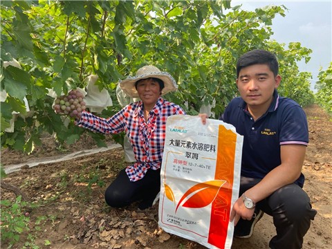 大量元素水溶肥，拉姆拉，翠姆