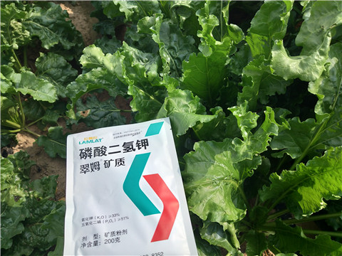 水溶肥，拉姆拉，翠姆