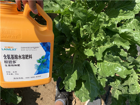 水溶肥，拉姆拉，翠姆