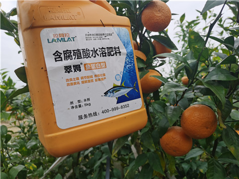 水溶肥，拉姆拉，翠姆