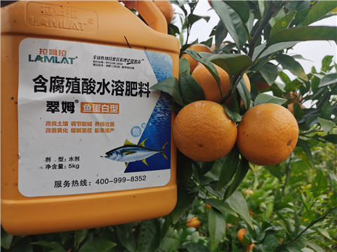 水溶肥，拉姆拉，翠姆