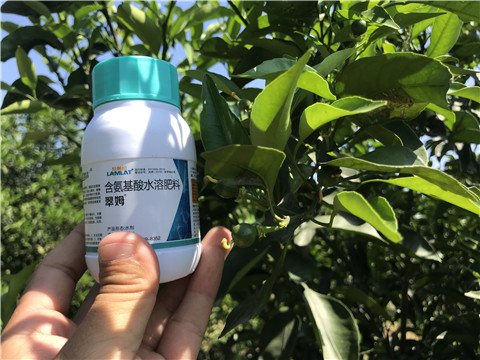 葉面肥，拉姆拉，翠姆