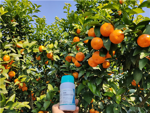 葉面肥，拉姆拉，翠姆