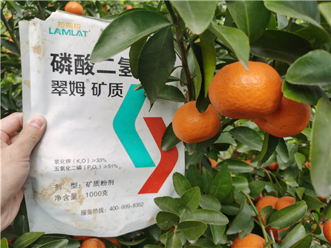 水溶肥，拉姆拉，翠姆