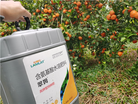 水溶肥，拉姆拉，翠姆