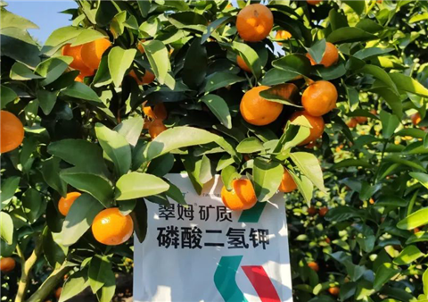 磷酸二氫鉀，拉姆拉，翠姆