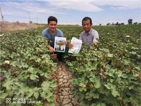水溶肥，拉姆拉，翠姆