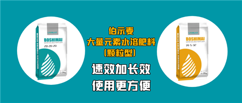 顆粒肥，拉姆拉，翠姆