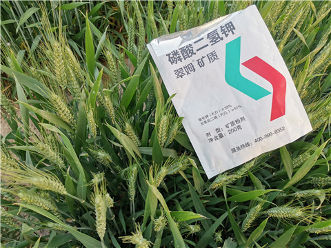 水溶肥，拉姆拉，翠姆