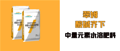 水溶肥，拉姆拉，翠姆