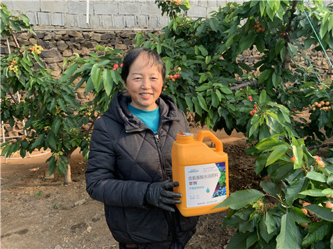 水溶肥，拉姆拉，翠姆