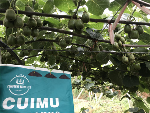 顆粒復合肥，拉姆拉，翠姆