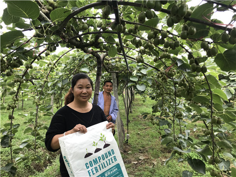 顆粒復合肥，拉姆拉，翠姆