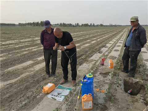 水溶肥，拉姆拉，翠姆