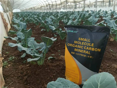 小分子有機(jī)碳，拉姆拉，翠姆