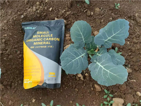 小分子有機(jī)碳，拉姆拉，翠姆