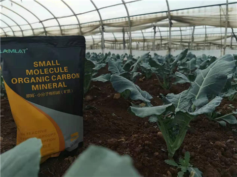 小分子有機(jī)碳，拉姆拉，翠姆