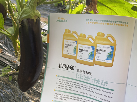 水溶肥，拉姆拉，翠姆