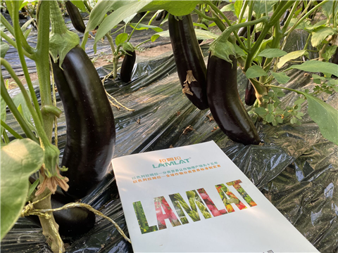 水溶肥，拉姆拉，翠姆