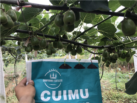 顆粒水溶肥，拉姆拉，翠姆