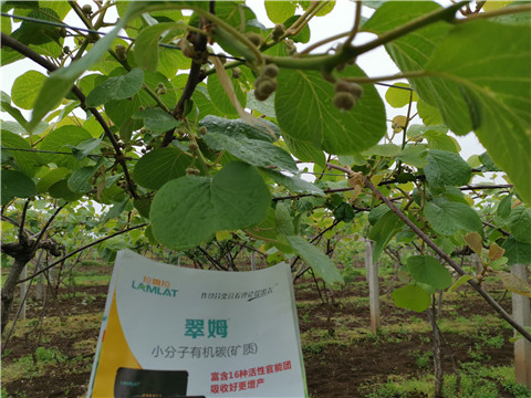 小分子有機(jī)碳，拉姆拉，翠姆