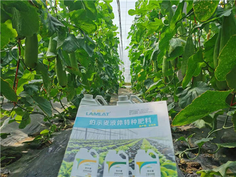 水溶肥，拉姆拉，翠姆