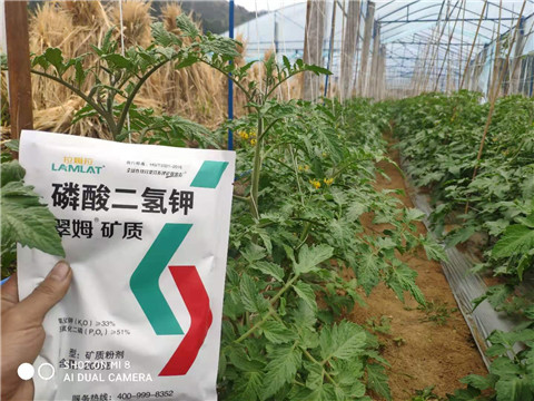 磷酸二氫鉀，拉姆拉，翠姆