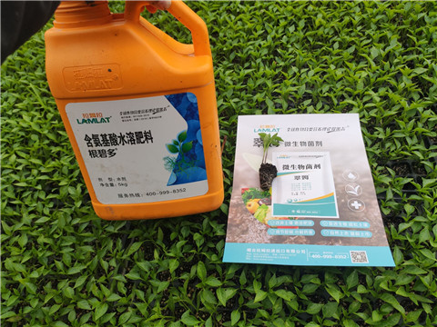 水溶肥，拉姆拉，翠姆