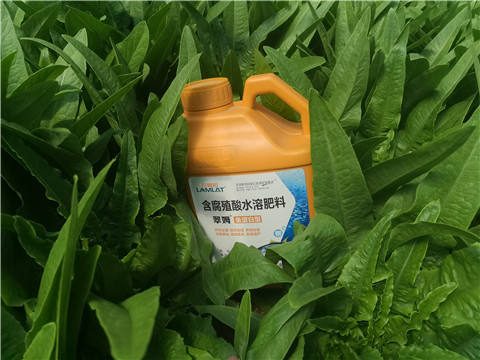 沖施肥，拉姆拉，翠姆