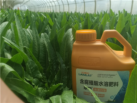 沖施肥，拉姆拉，翠姆