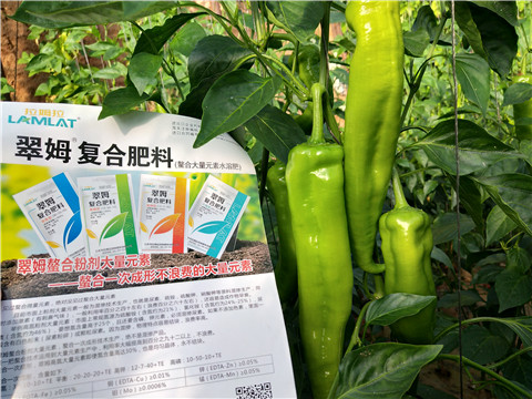 辣椒，拉姆拉，翠姆