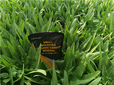 礦源黃腐酸鉀，拉姆拉，翠姆