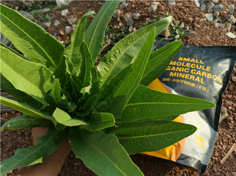 礦源黃腐酸鉀，拉姆拉，翠姆