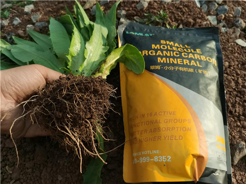 礦源黃腐酸鉀，拉姆拉，翠姆