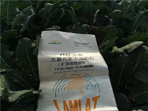 大量元素水溶肥，拉姆拉，翠姆