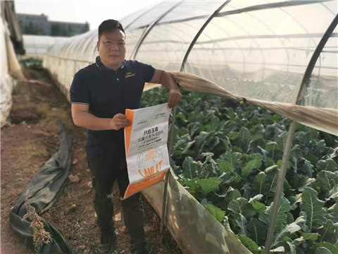 大量元素水溶肥，拉姆拉，翠姆