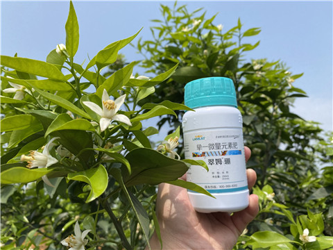 硼肥，拉姆拉，翠姆