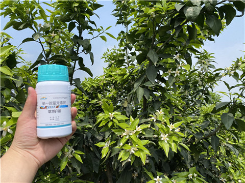 硼肥，拉姆拉，翠姆