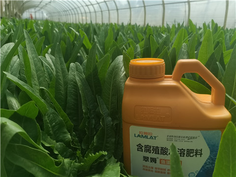 水溶肥，翠姆，拉姆拉